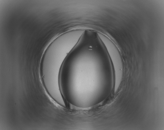 X0000067500909200604211722