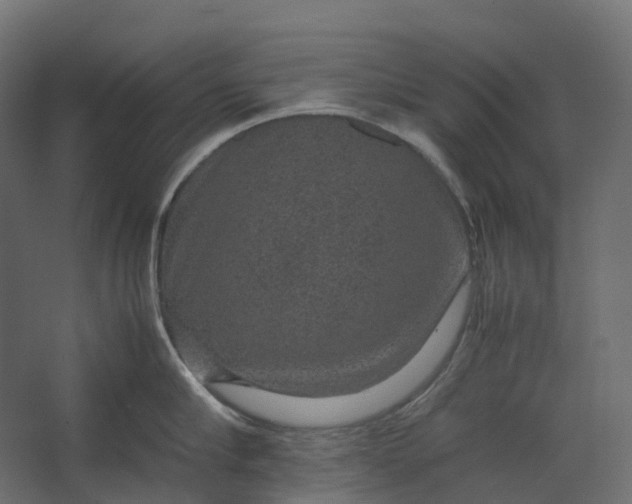 X0000067500910200604211722