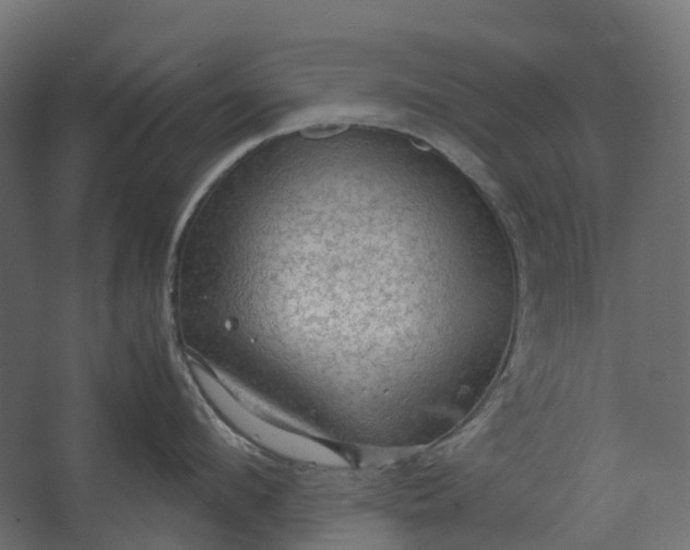 X0000067500912200604211722