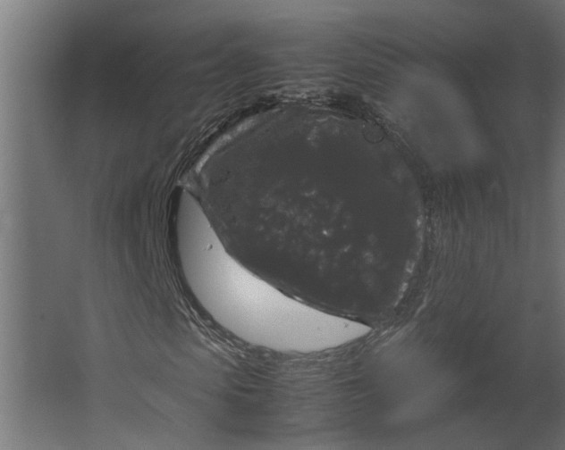 X0000067500913200604211721