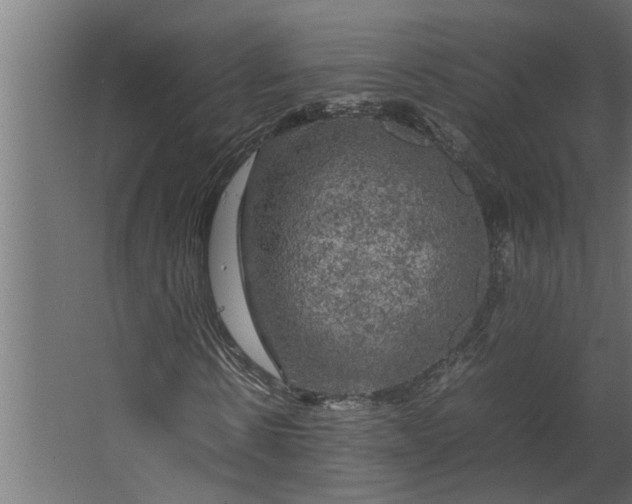 X0000067500914200604211721