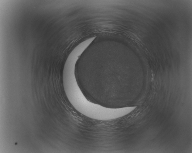 X0000067500915200604211721