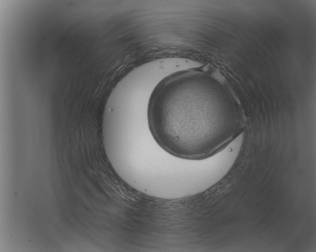 X0000067500916200604211721