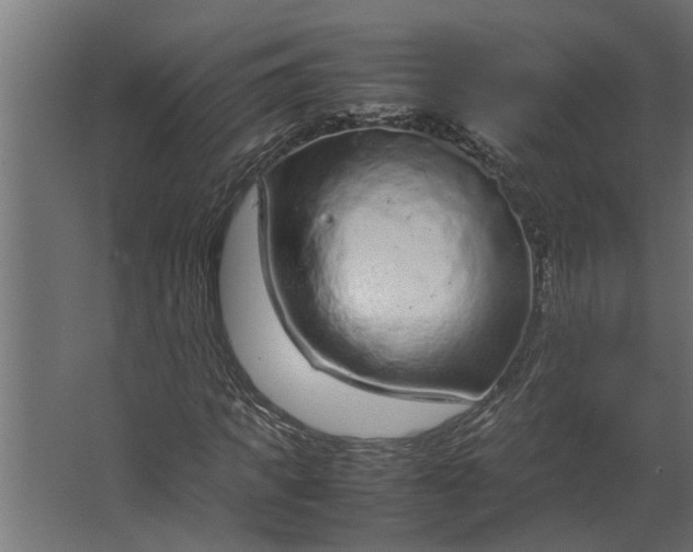 X0000067500917200604211721