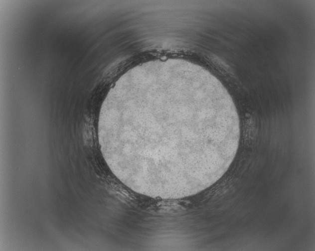 X0000067500918200604211721