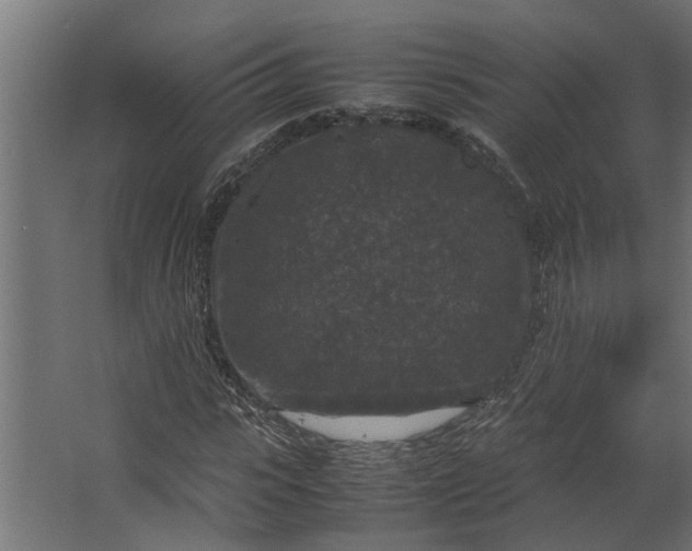 X0000067500919200604211721