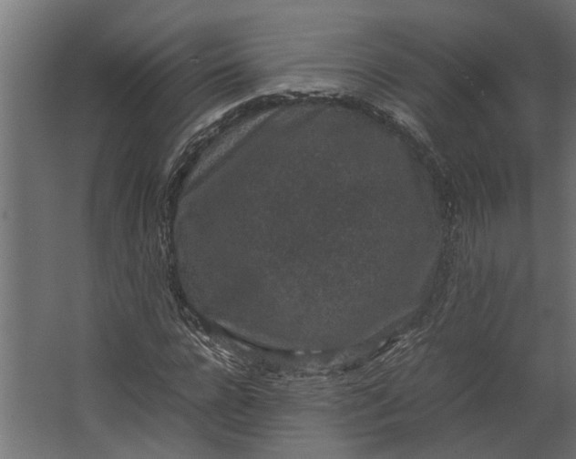 X0000067500920200604211721