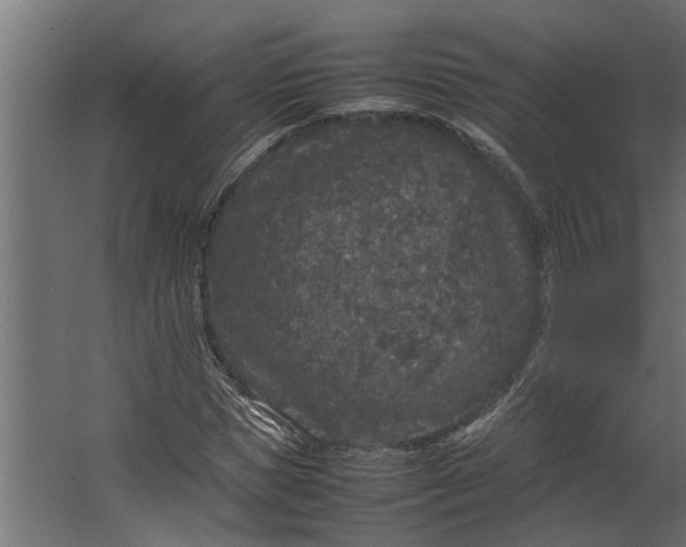 X0000067500921200604211721