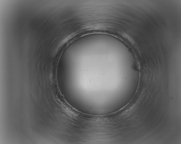 X0000067500922200604211721