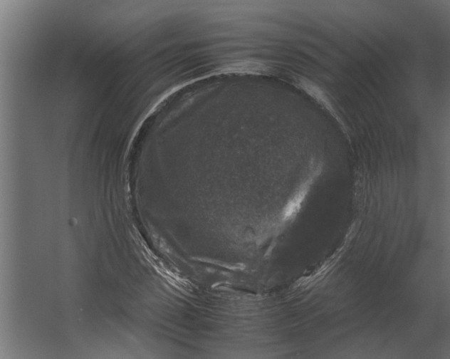 X0000067500923200604211721