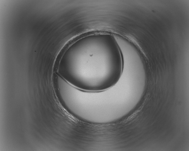 X0000067500924200604211721