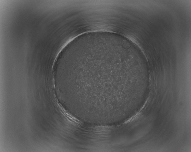 X0000067500925200604211721