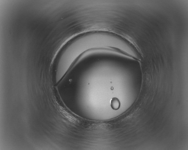 X0000067500926200604211721