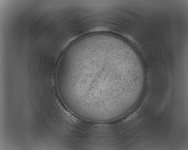 X0000067500929200604211721