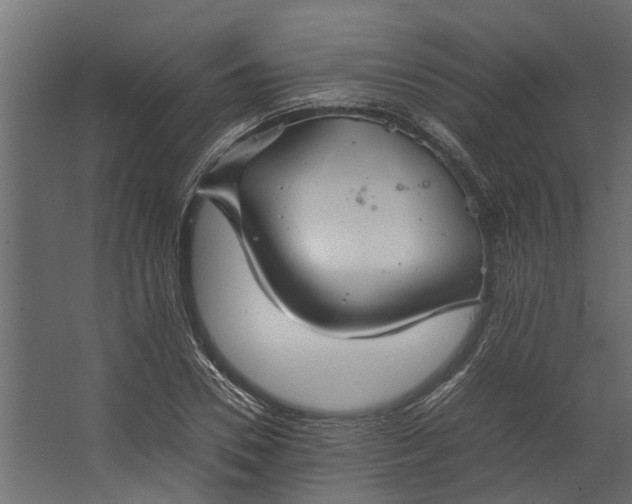 X0000067500930200604211721