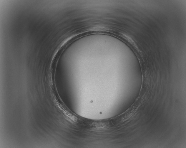 X0000067500931200604211721