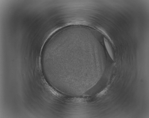 X0000067500932200604211721