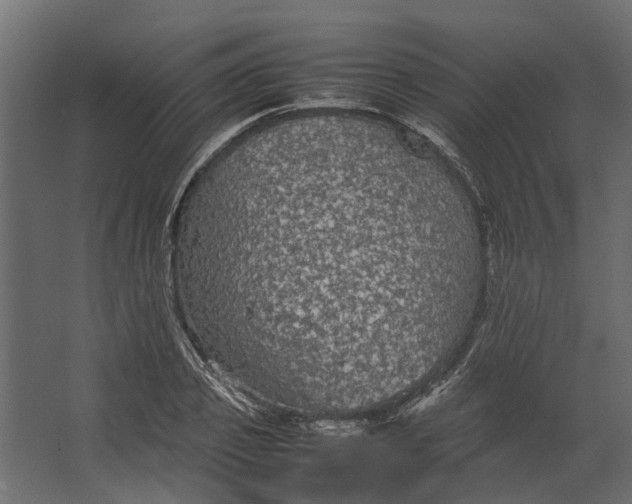 X0000067500933200604211721