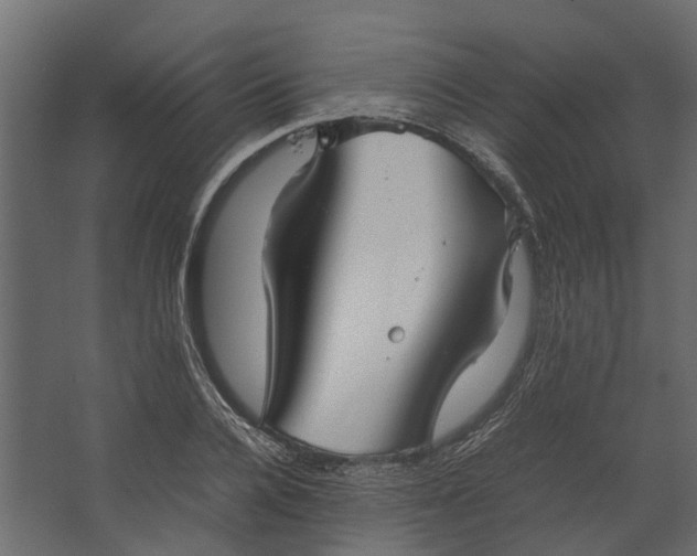 X0000067500936200604211721