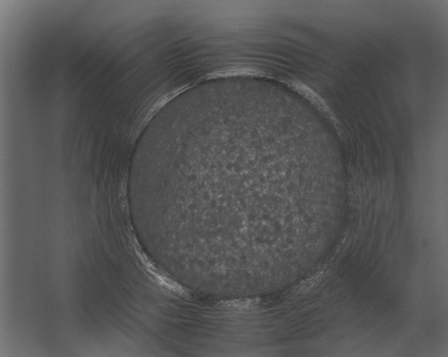 X0000067500937200604211721