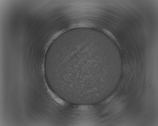 X0000067500938200604211721