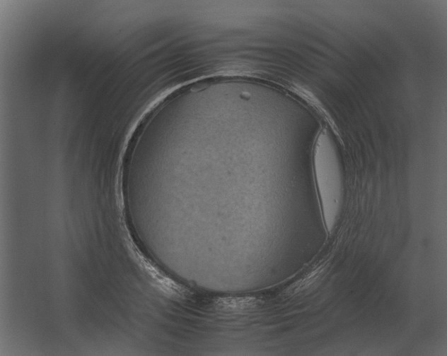 X0000067500939200604211721