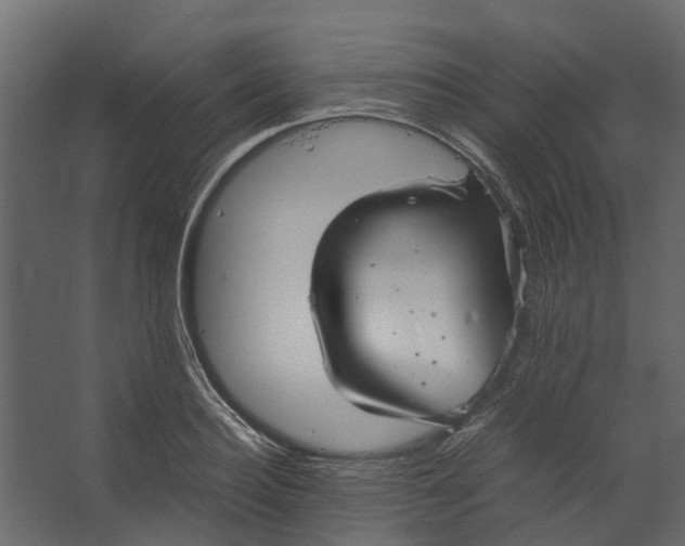 X0000067500940200604211721