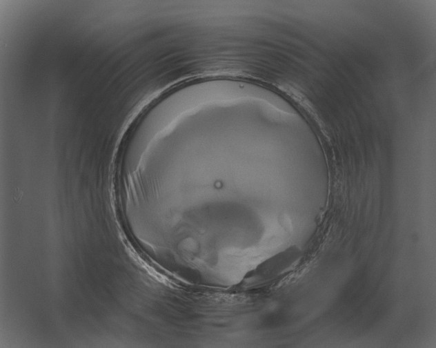 X0000067500941200604211721