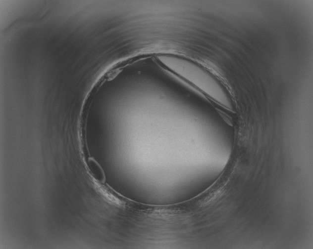 X0000067500942200604211721