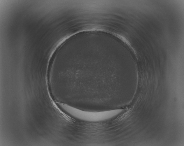 X0000067500943200604211721