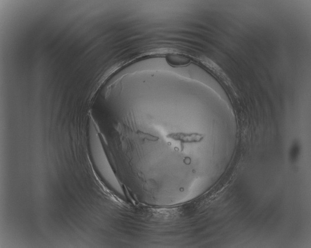 X0000067500945200604211721