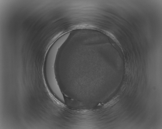 X0000067500946200604211721