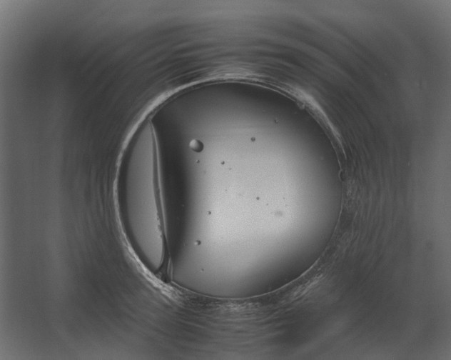 X0000067500947200604211721