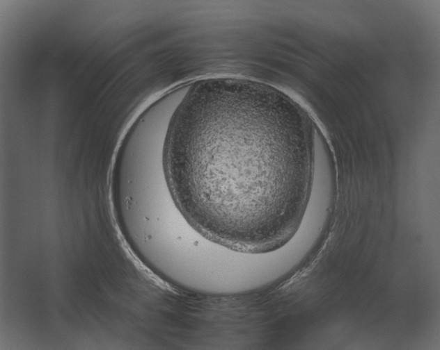 X0000067500949200604211721