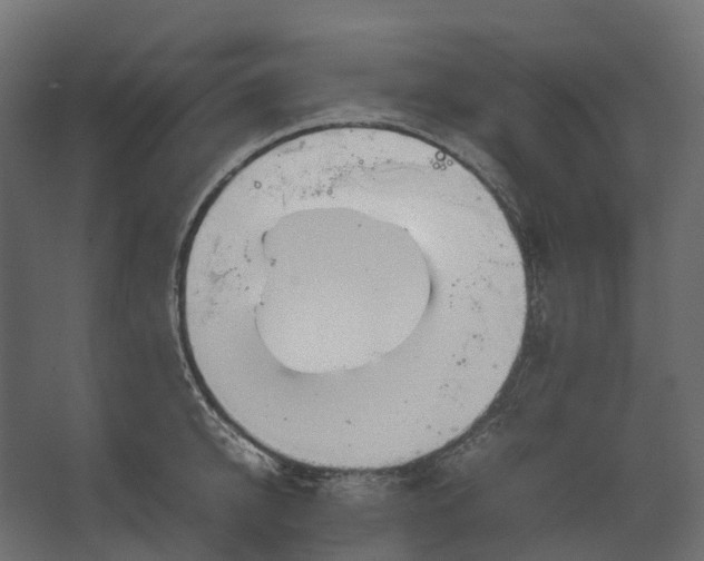 X0000067500950200604211721