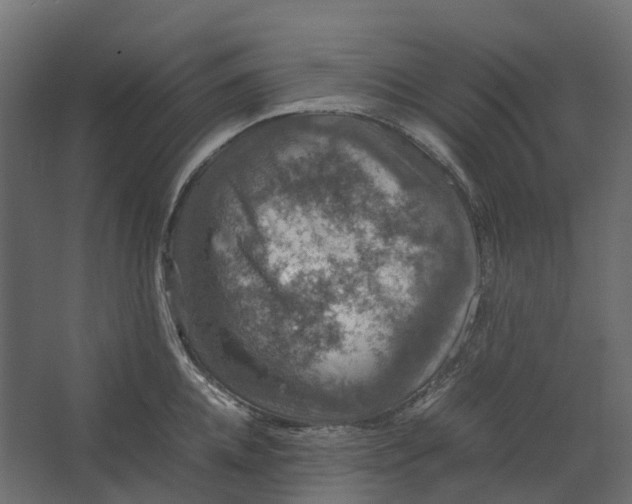 X0000067500952200604211721