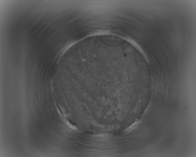 X0000067500953200604211721