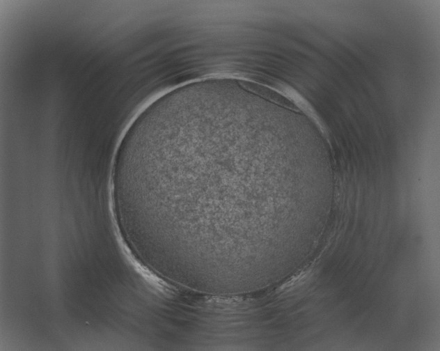 X0000067500955200604211721