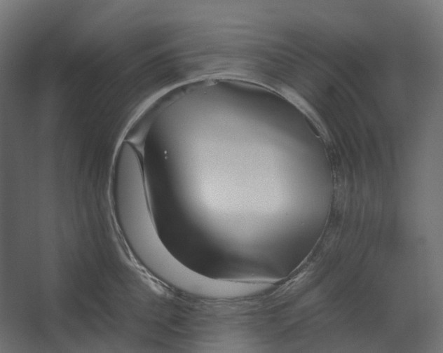 X0000067500956200604211721