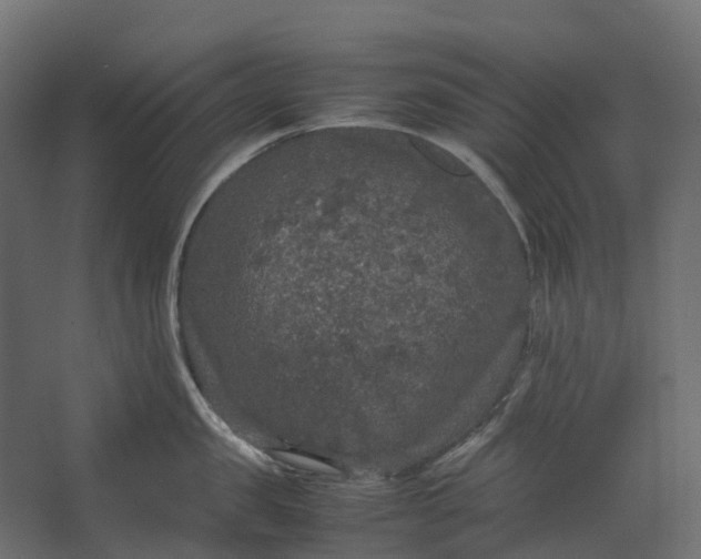 X0000067500957200604211721