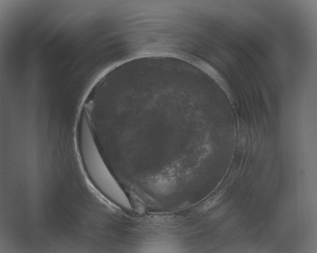 X0000067500958200604211721