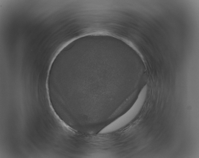 X0000067500959200604211721