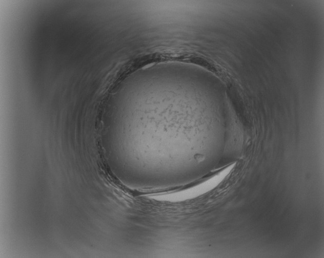 X0000067500961200604211721