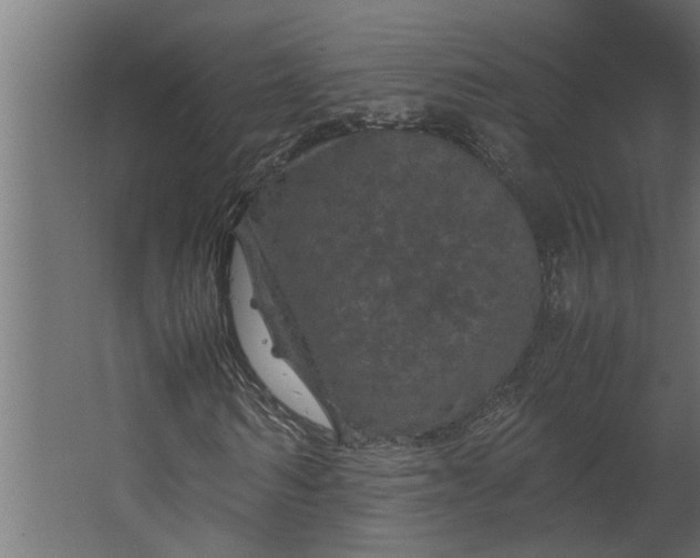 X0000067500962200604211721