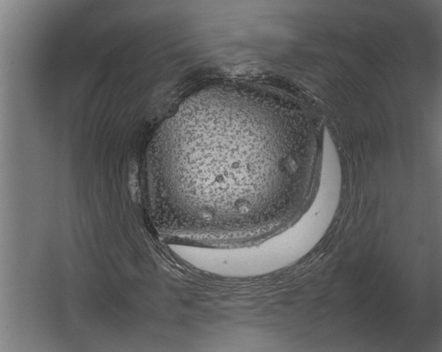 X0000067500963200604211721