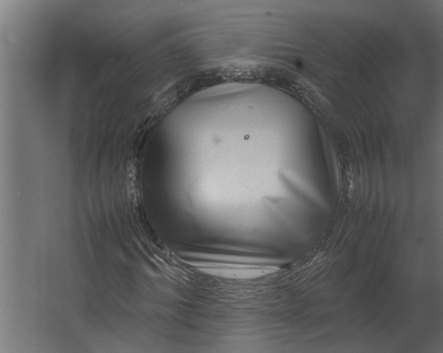 X0000067500964200604211721