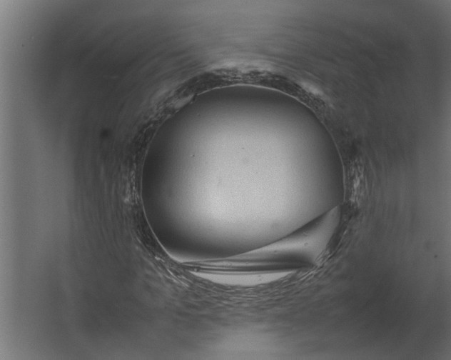 X0000067500965200604211721