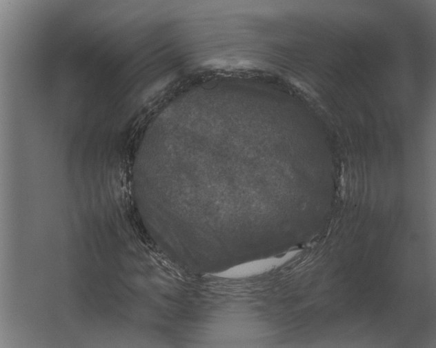 X0000067500966200604211721