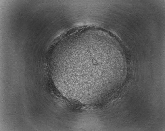 X0000067500967200604211721