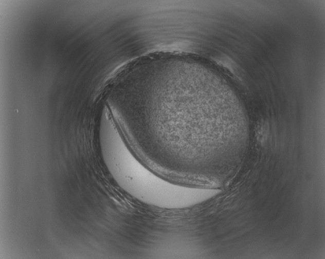 X0000067500968200604211721